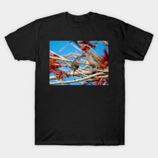 Little Wattle Birds: Feeding Time T-Shirt